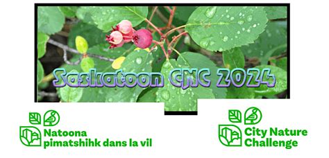 NatureQuest: Unveiling Biodiversity at Richard St. Barbe Afforestation ...