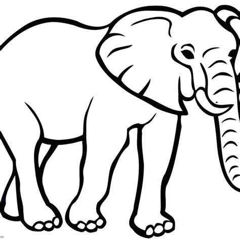 Elephant Outline Drawing | Free download on ClipArtMag