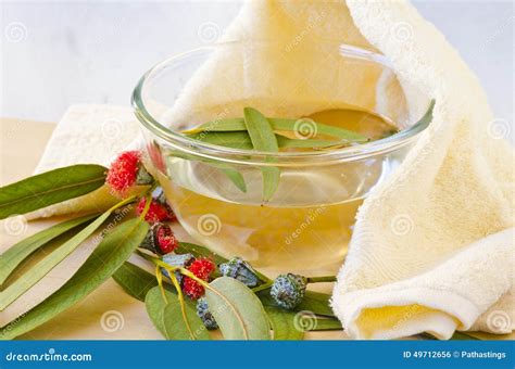 Inhalation 的图像结果