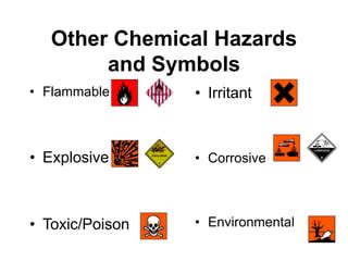 Basic Lab Safety 的图像结果