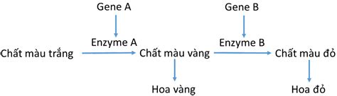 Image result for Test Driven Development Anti-Patterns Chain Gangs Example