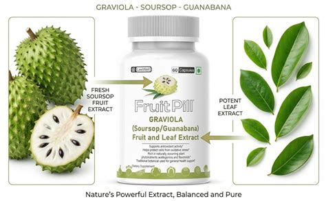 Buy Fruitpill Graviola Soursop Guanabana Fruit and Leaf Extract, 60 ...