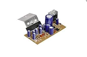 ERH INDIA Generic 6283 IC Complete Stereo Audio Circuit Board Pack of ...