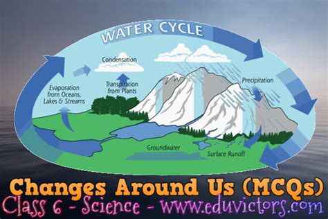 Image result for CBSE Class 6 Science Chapter Changes around Us