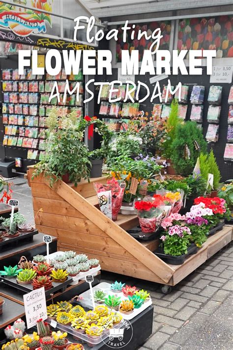 Floating Flower Market Amsterdam (Bloemenmarkt)