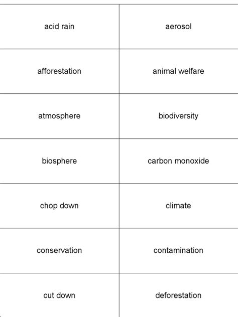 Environment Flashcard 的图像结果