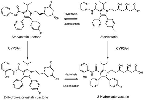 SLCO1B1 Genetic Variation Influence on Atorvastatin Systemic Exposure ...