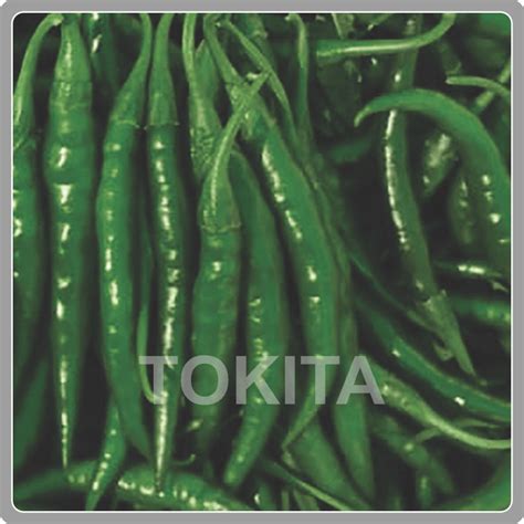 Products | TIPL