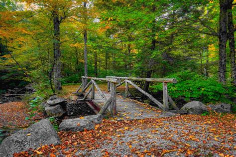 The 8 Best Campgrounds in CT, Ranked by Campers Like You