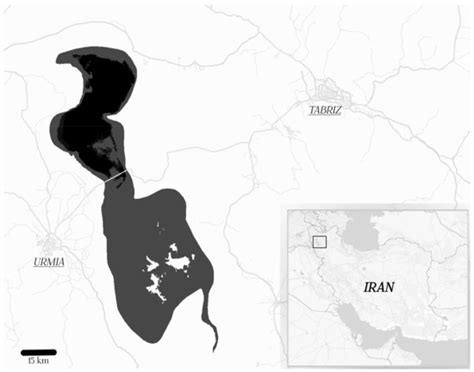 Water | Special Issue : Critical Water Resource Geography