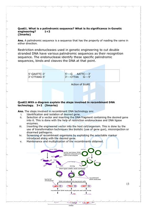 DNA Transformation Class 12 的图像结果