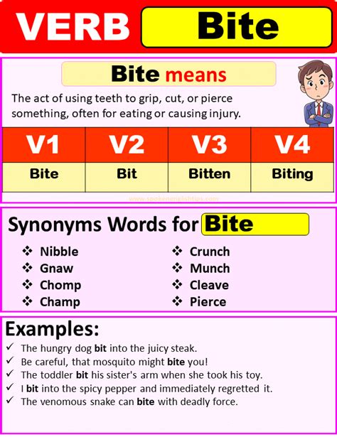Bite Verb Forms, Past Tense Of Bite Past Participle & V1 V2 V3 V4