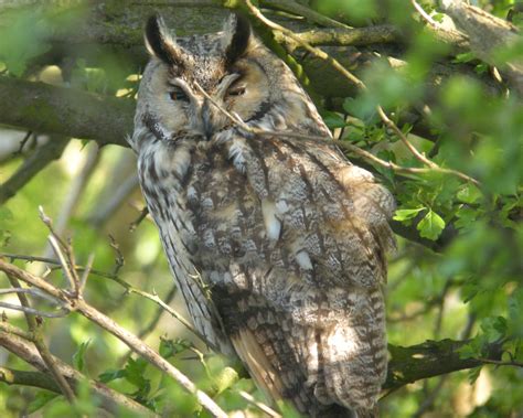 Wildlife Sightings for 3rd November 2025 | WWT