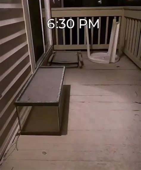 Snowstorm Time-lapse 的图像结果