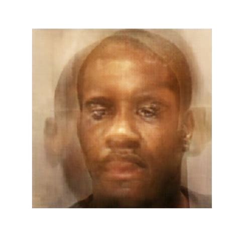 Datasets of Criminal Faces Within and Under Facial Recognition Software ...