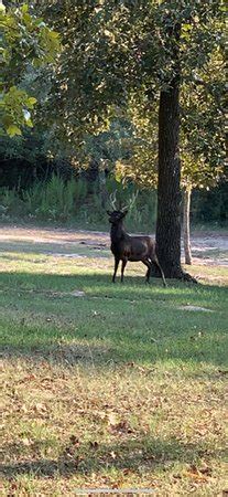 CAMP TONKAWA SPRINGS (Garrison) - What to Know Before You Go