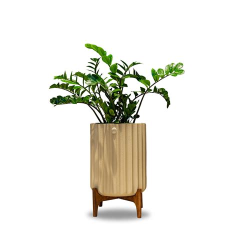 Studio Palasa - Online Planters & Pot Store India - Home | Garden