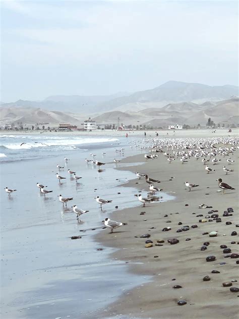 Image result for Azul Price