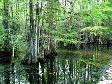 Image result for Lesson Exemplar Example
