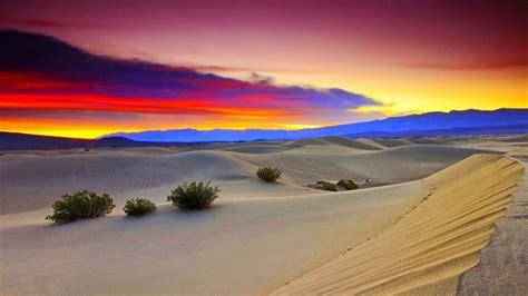 Stunning Desert Background Images For Your Designs