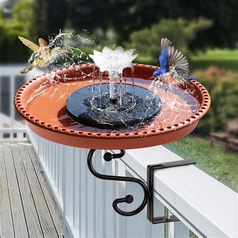 Bird Bath Northbridge at Kevin Davidson blog