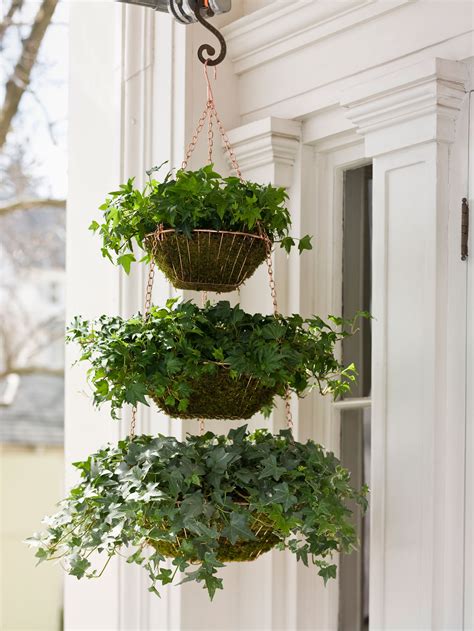 What Plants Can I Put In A Hanging Basket at Anthony Patterson blog
