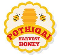 Affordable Logo Designer in Chennai | Five Square Graphics