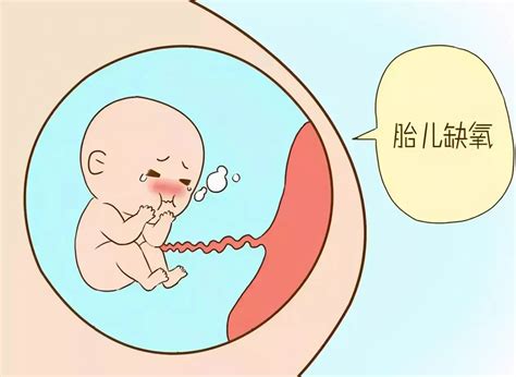 胚胎模型 胎儿发育过程模型生产厂家--性能参数，报价/价格，图片--中国生物器材网
