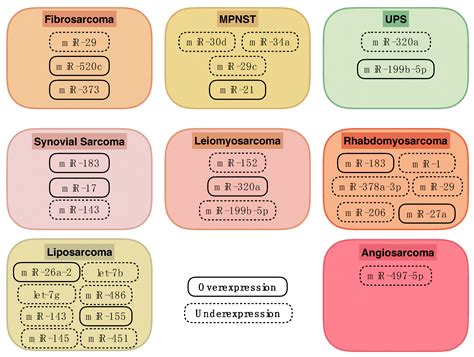 MicroRNAs in Different Histologies of Soft Tissue Sarcoma: A ...