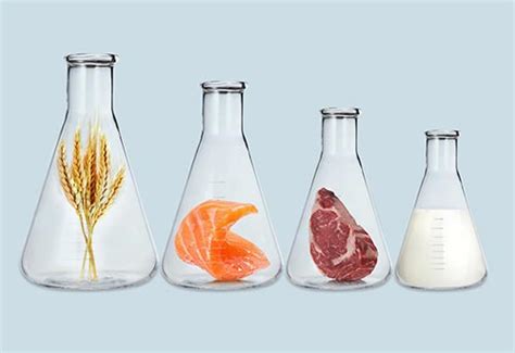 Альтернативные белки и культивируемые продукты