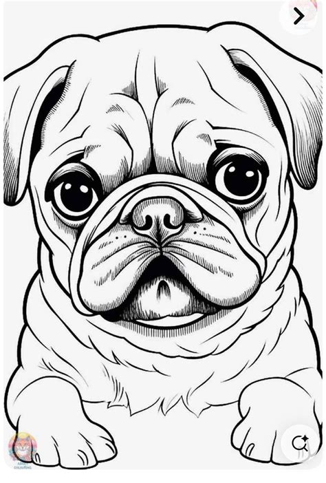Pin by tanya krivolet on ציור in 2025 | Pug art, Dog drawing, Cute pugs