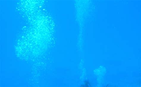 CHINCHORRO REEF - All You Need to Know BEFORE You Go 2026 (with Photos ...