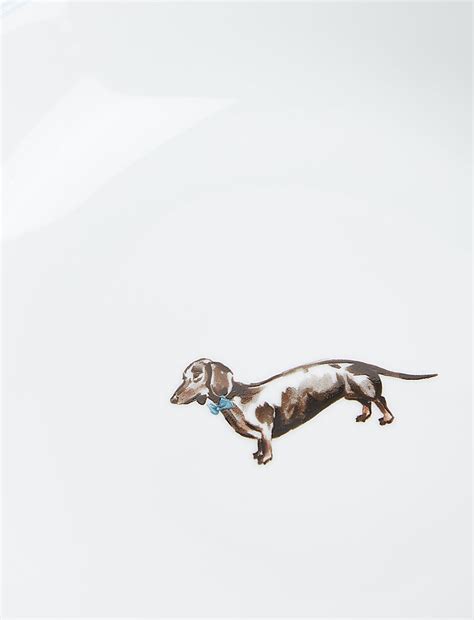 Buy Set of 4 Dachshund Pasta Bowls at Marks & Spencer