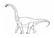 dinosaurier arten ausmalbilder malvorlagen dinosaurier urzeit tiere dinos ausmalbilder dinosaurier arten ausmalbilder malvorlagen dinosaurier urzeit tiere dinos ausmalbilder