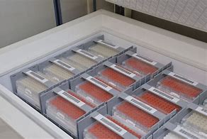 Image result for Chest Freezer Storage