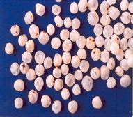 MILLET BASED TECHNOLOGIES