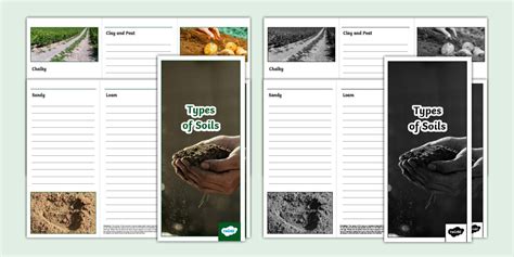 Types of Soils Leaflet Template (teacher made) - Twinkl