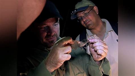 Image result for Python Hunters Cast