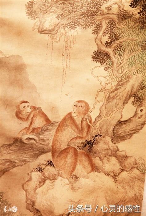 屬猴人的終身壽命： 1968、1980、1992年， 準得可怕！！-fav543.com - 美食記