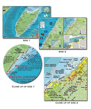 Buy Franko Guide to Cozumel Diving and Snorkeling Fold up Fish ID Card ...
