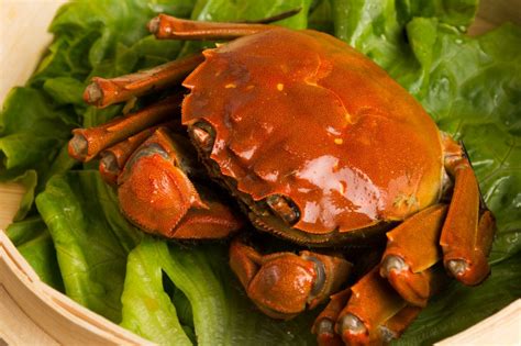 清蒸大闸蟹图片高清 清蒸大闸蟹要多长时间 怎样蒸螃蟹简单又好吃-美食图片-热图网