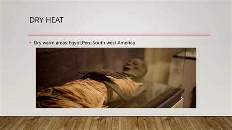 Image result for Embalming Explained