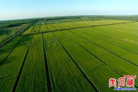 绿色农业合作社宣传册素材_产品画册图片_画册图片_第13张_红动中国