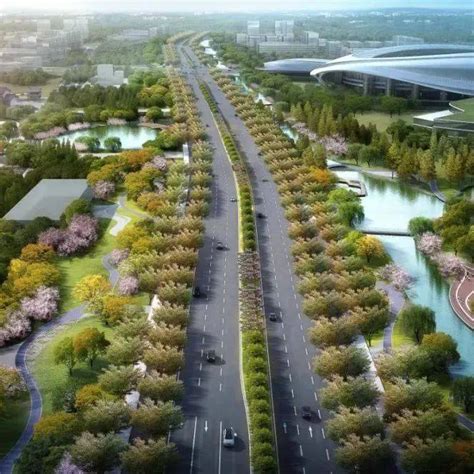 泗水大道提升改造工程即将开工_泗阳_景观_项目
