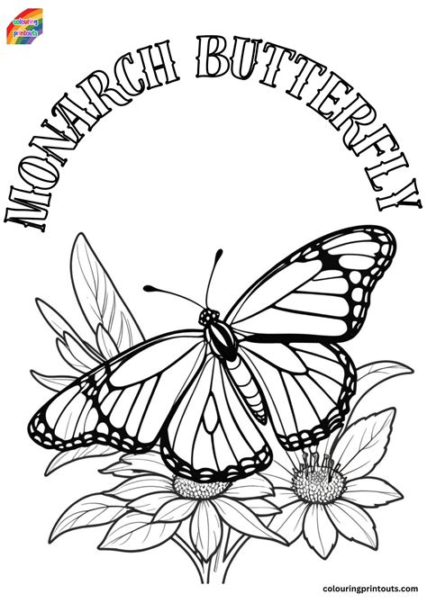 Monarch Butterfly Coloring
