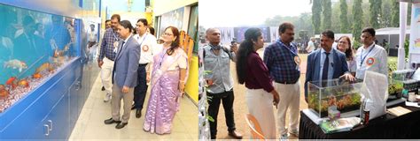 Home | Official website of ICAR-Central Institute of Fisheries ...