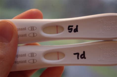 First Response Pregnancy Test - Charlie Munson - Medium