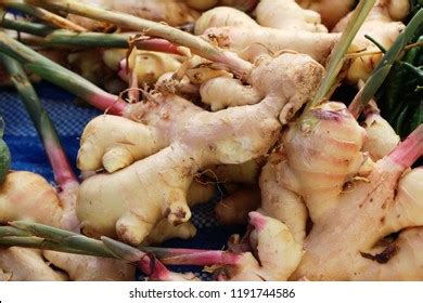 Image result for Ginger Root Washing