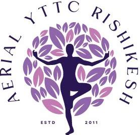 Premier Aerial Yoga Teacher Training Academy in Rishikesh & Goa