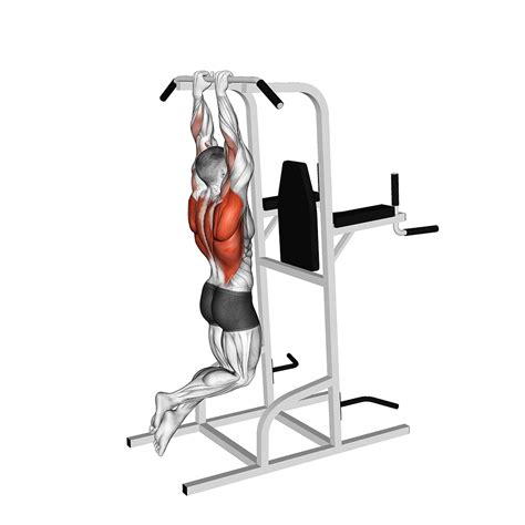 Close Grip Pull-ups: Benefits, Muscles Worked, and More - Inspire US